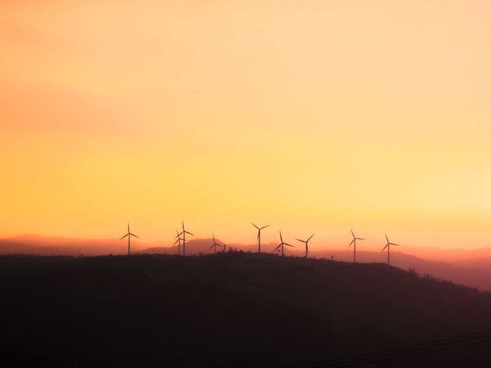 A wind farm at golden hour